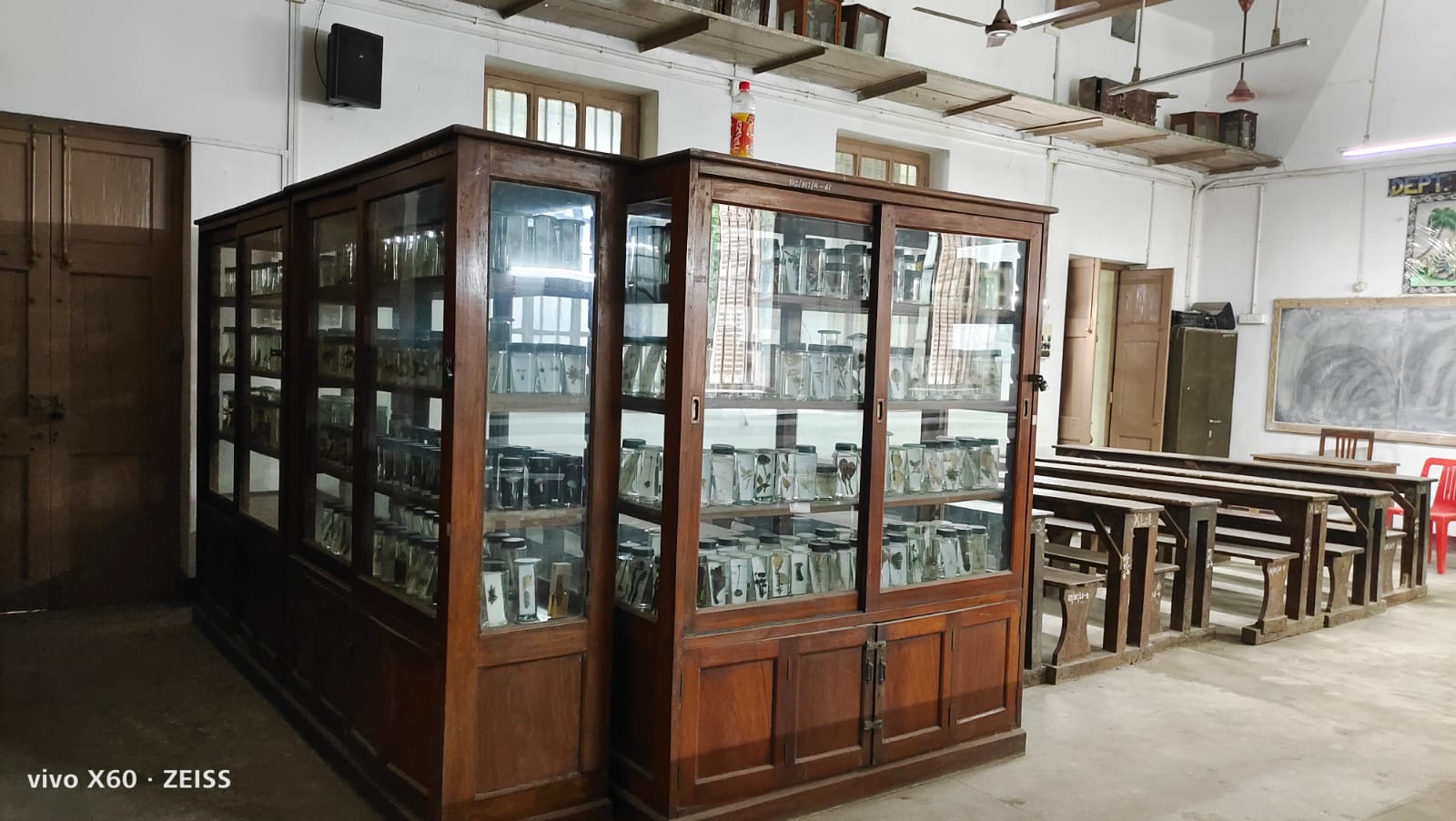 Department of Botany