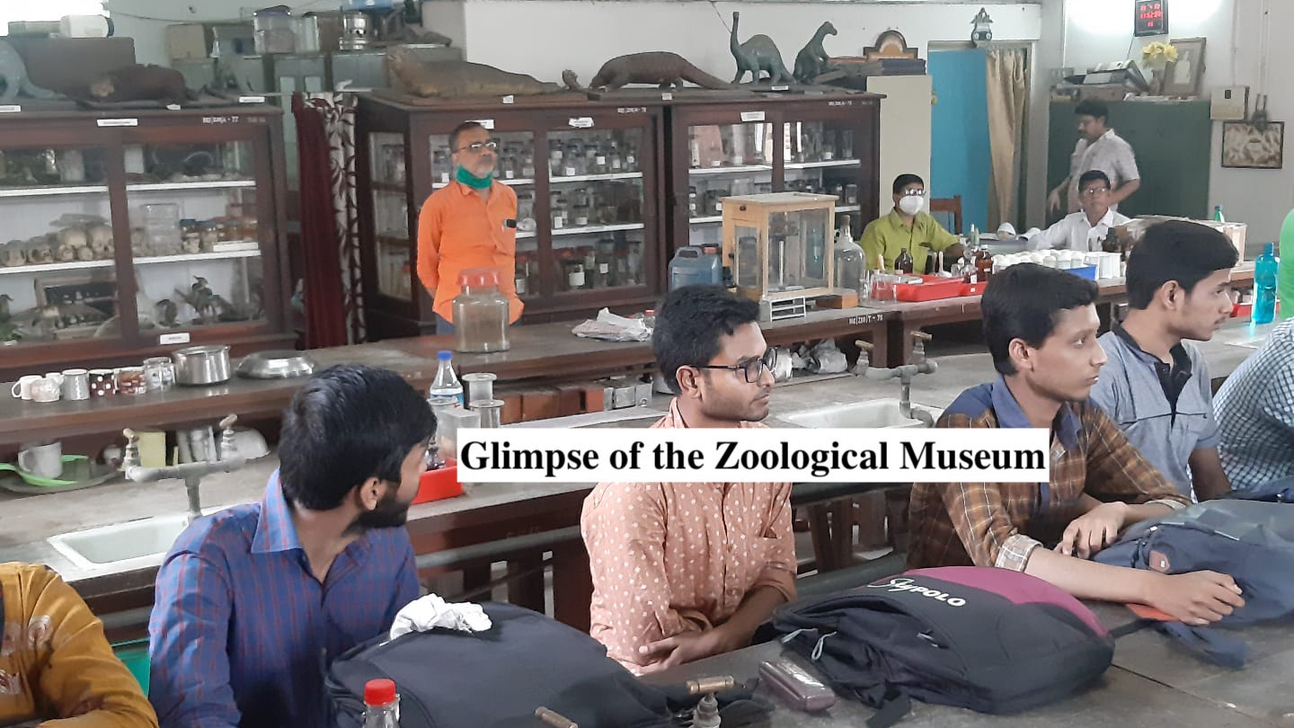 Department of Zoology